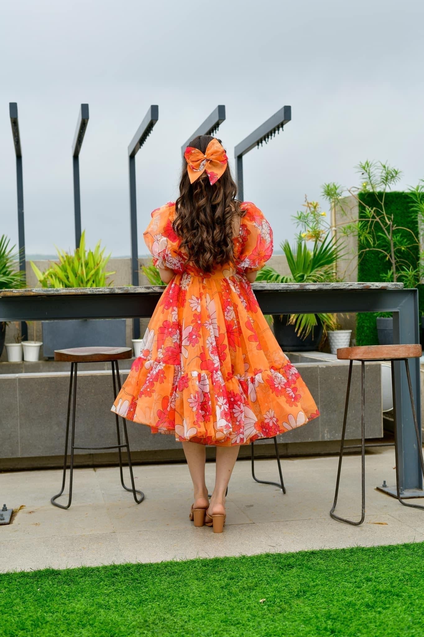 Layla organza printed dress